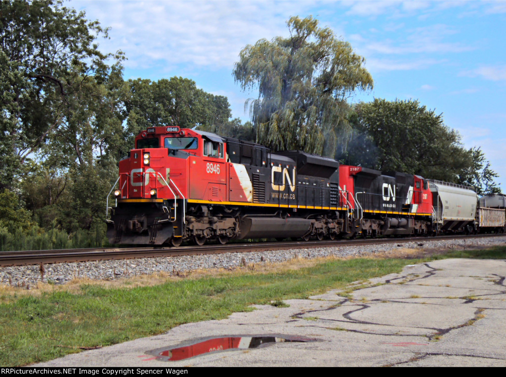 CN 8946